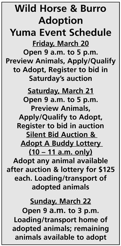 horse burro adoption